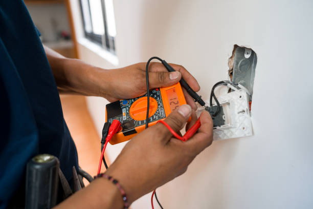 Best Electric Panel Repair  in Fort Deposit, AL